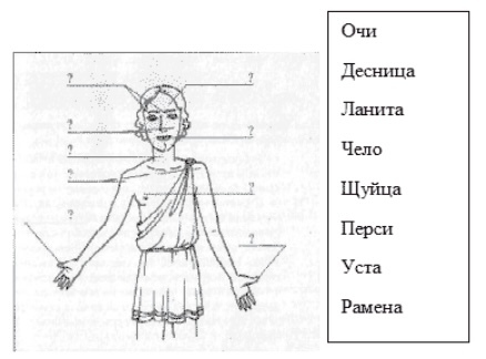 Ч выя. Древнииназвани частей тела. Старинные названия частей тела. Старорусские названия частей тела и лица. Названия частей тела на древнерусском языке.